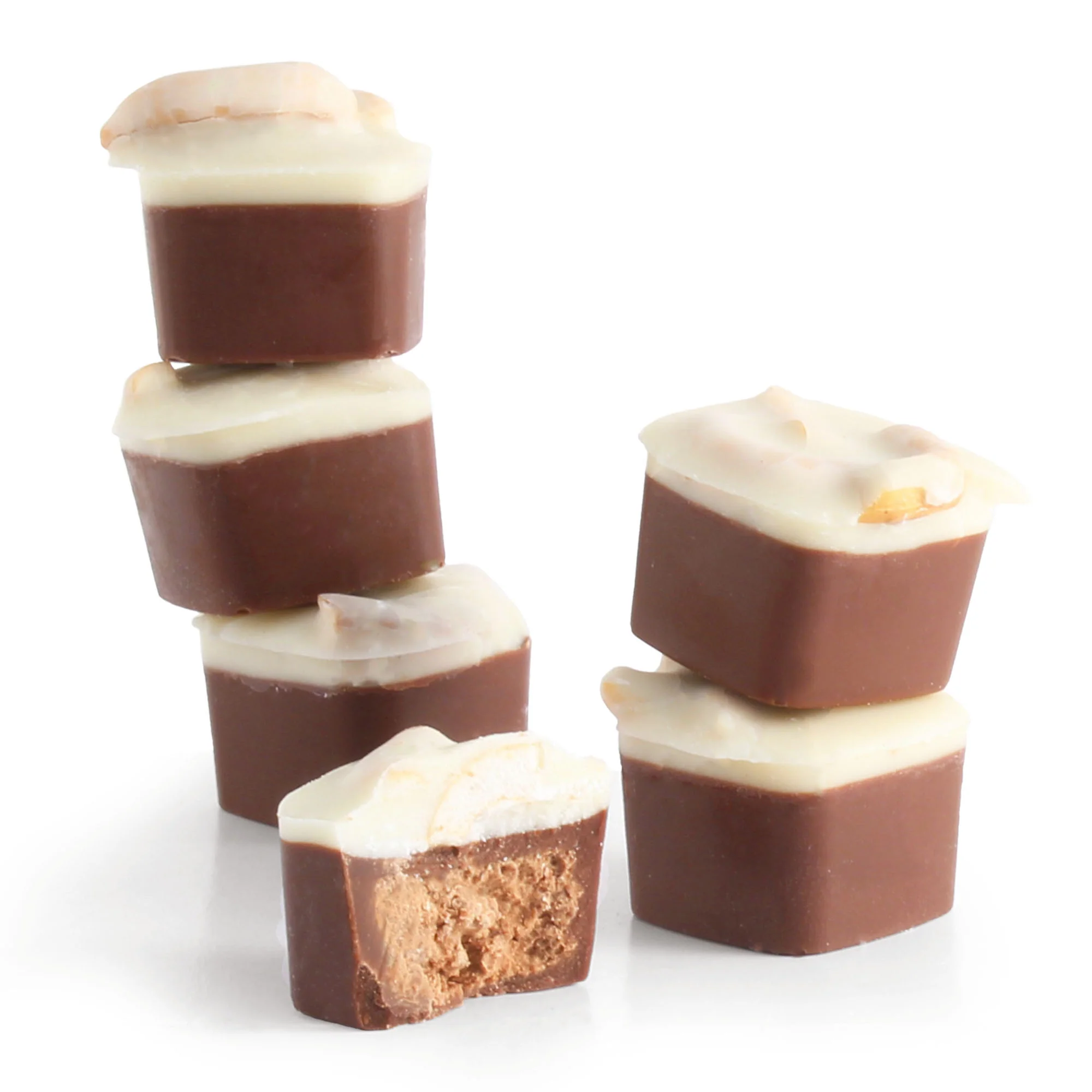 THE PRETZEL 1 VEGAN PRALINE CHOCOLATE | KAKOA